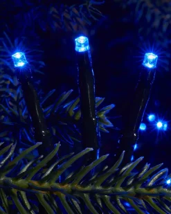 500 Blue Compact Lights