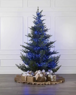500 Blue Compact Lights