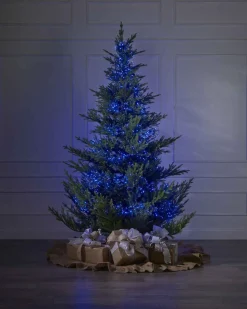 500 Blue Compact Lights