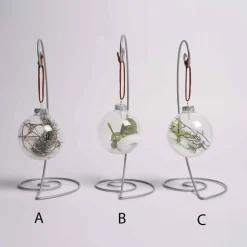3 Inch Glass Ball With Greenery