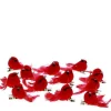 1 Inch Mini Cardinal Clips X12