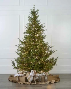1500 Warm White Light Set