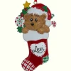 Bear In Stocking