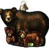 Bear With Cubs