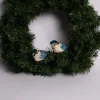 Bristle Blue Jay