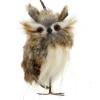 Brown Fur Hoot Owl