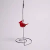 Cardinal Of Comfort