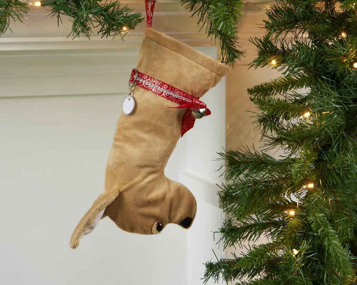 Chihuahua Stocking