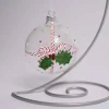 Clear Glass Gift Holly Ball