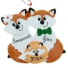 Fox Family Of 3