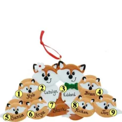 Fox Family Of 8