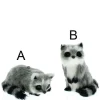 Furry Raccoon