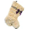 Golden Doodle Stocking