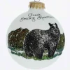 Great Smoky Mountains Black Bear