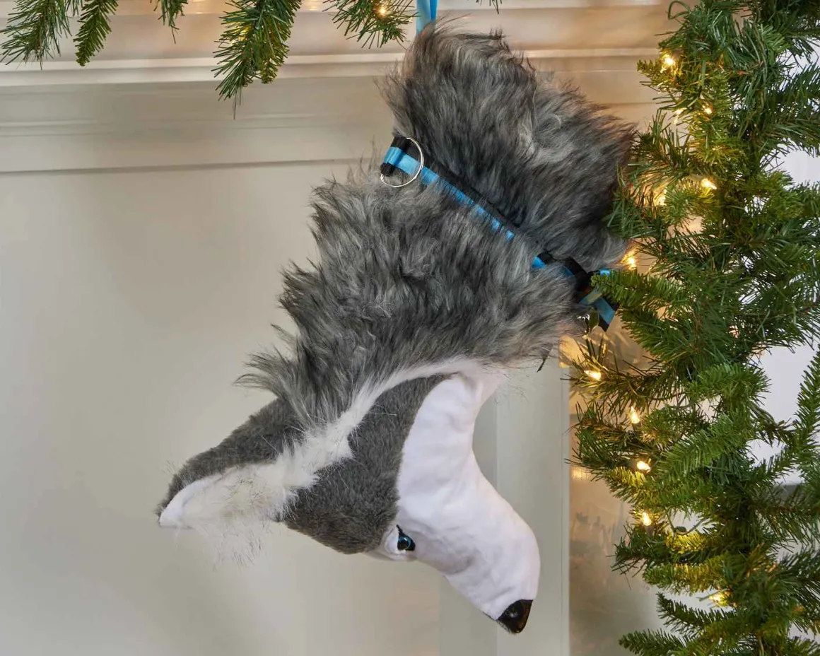 Husky Stocking