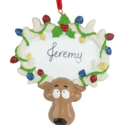 Reindeer With Lights
