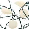 Seashell Light Set