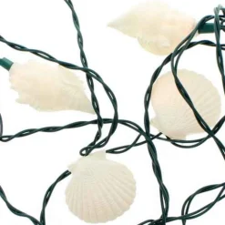 Seashell Light Set