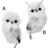 Silver/White Owl Ornament