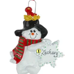 Snowman With Red Bird