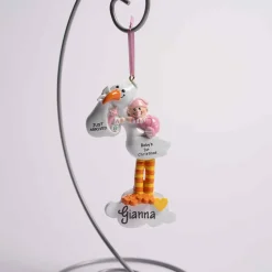Stork Baby Girl
