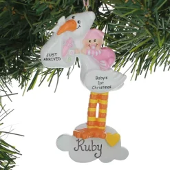 Stork Baby Girl